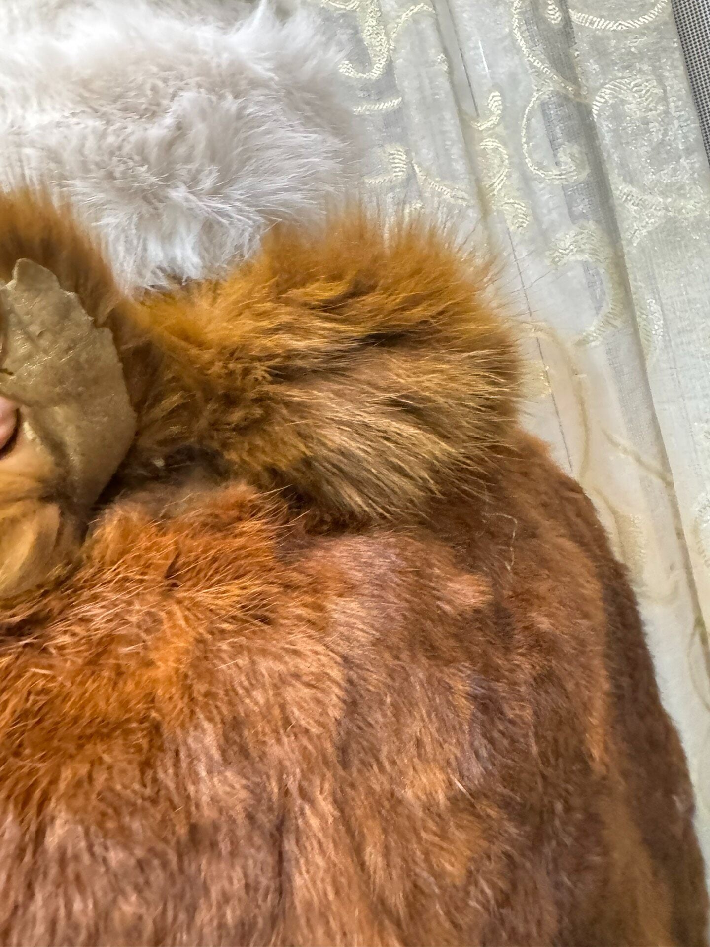 Vintage Genuine Fur Coat